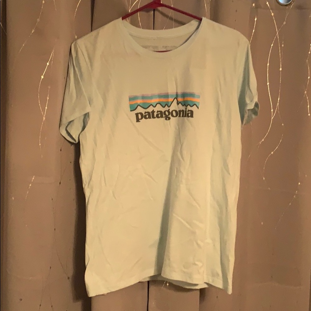 Patagonia Tshirt